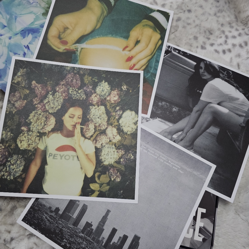 Lana Del Rey Ultraviolence Limited Edition Box Set on Picture Disc Vinyl 2LP/CD - Picture 3 of 14